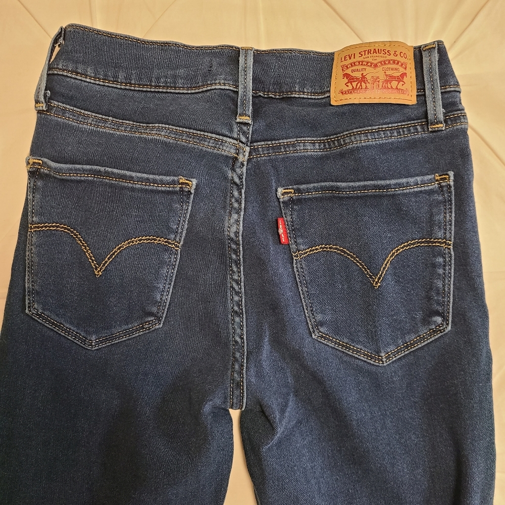 Levis jeggings size 24